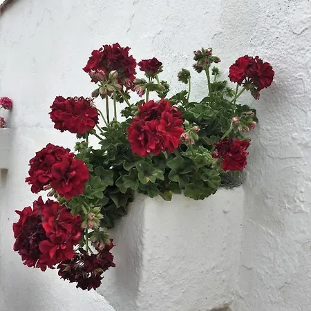 Bed & Breakfast Casa Torres Iznate