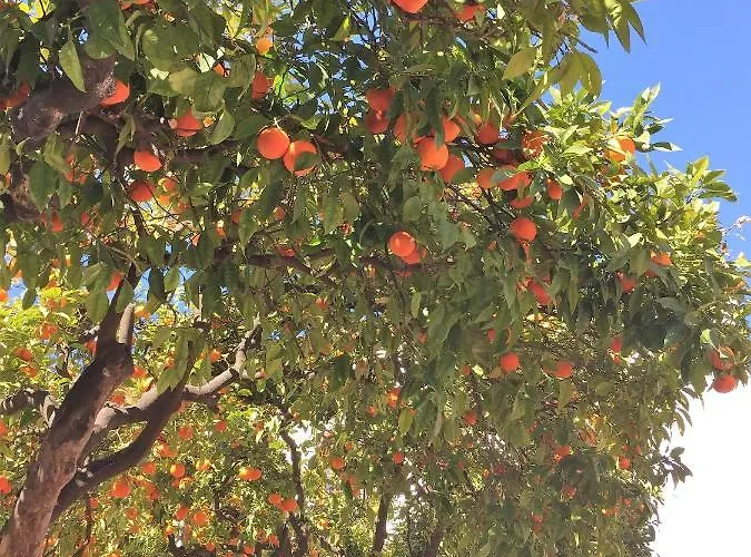 Casa Torres לינה וארוחת בוקר 4*